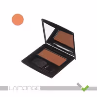 رژ گونه این لی مدل Rose Wood شماره 05