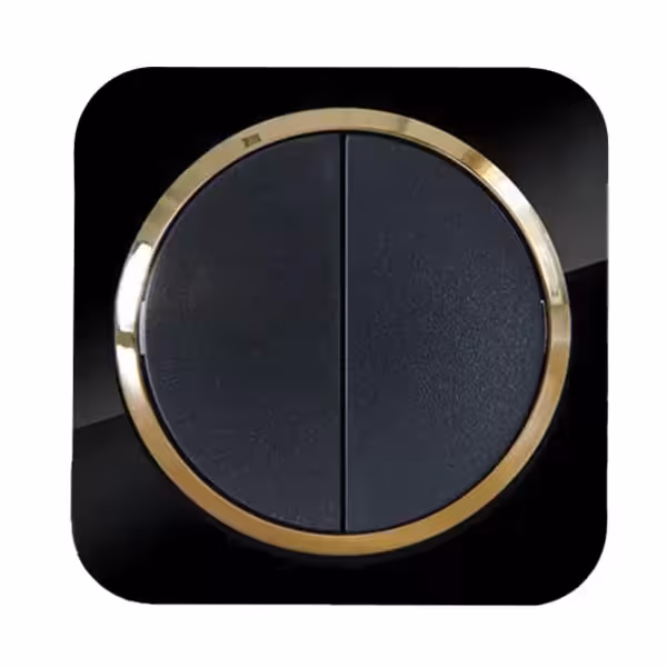 کلید دوپل آدا پلکسی مشکی زه طلایی دلند