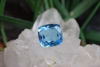 بلوتوپاز سوئیس