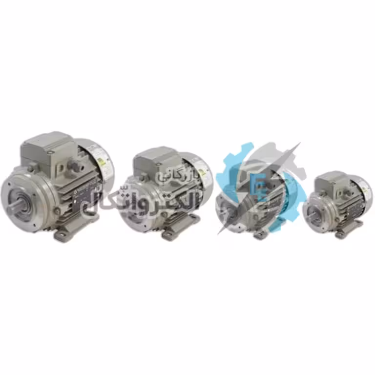 الکترو موتور الکتروژن 5.5HP