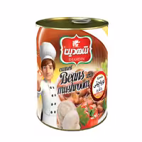 کنسرو لوبیا چیتی با قارچ شهدین 370 گرمی