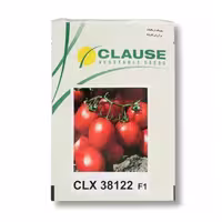 بذر گوجه فرنگی CLX 38122