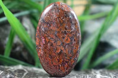 فسیل استخوان دایناسور