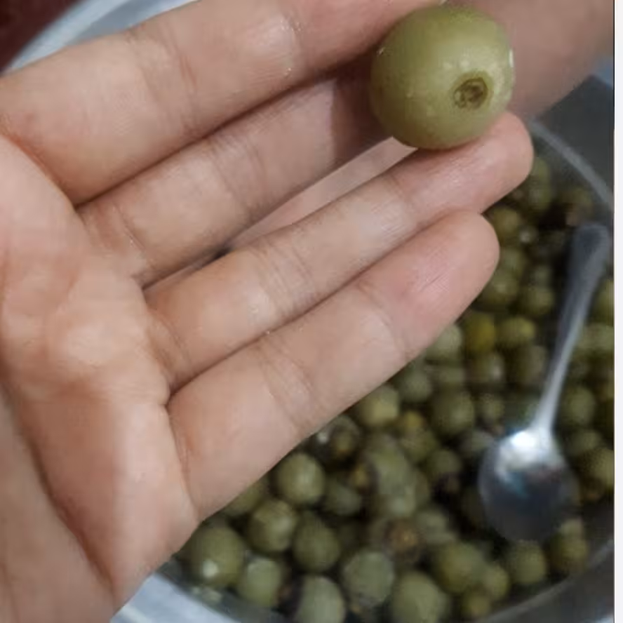 ترشی سپستان  جهت گلو درد بیماری معده رفع زکام بهبود کبد چرب ورم مفاصل