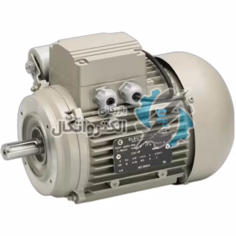 الکتروموتور الکتروژن ELECTROGEN