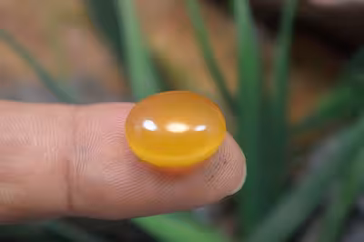 عقیق شرف شمس