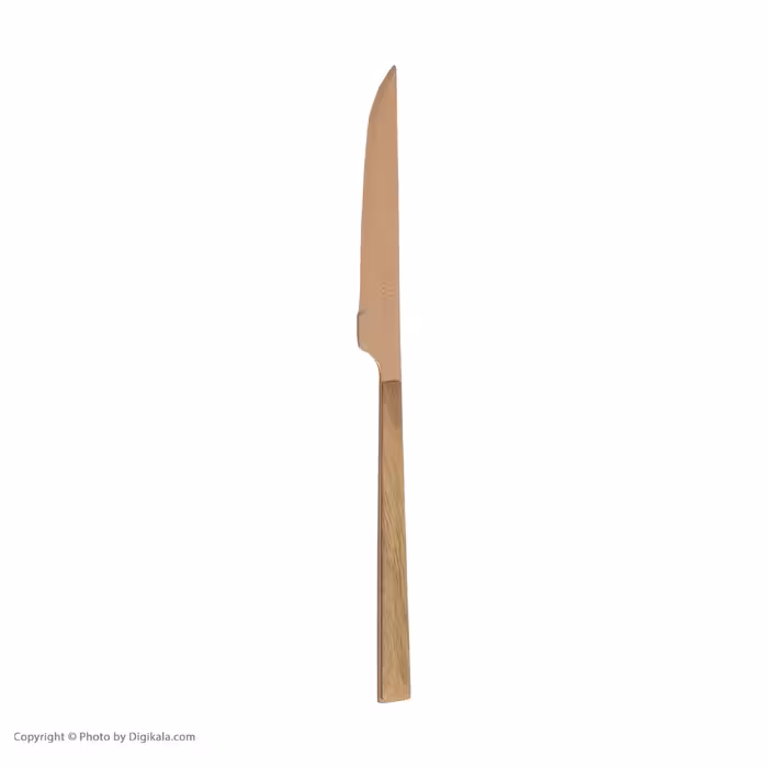 سرویس قاشق و چنگال 33 پارچه جی فی نی مدل R-W-L