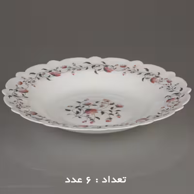سرویس غذا خوری 25 پارچه آیروپال طرح کنگره مدل گلوریا
