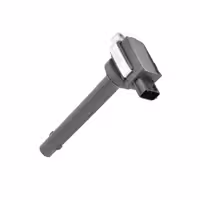 کوئل بسترن B50