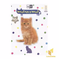 کتاب بچسبان و بیاموز(15)گربه ها و بچه گربه ها اثر نیما سلامیان نشر فنی ایران