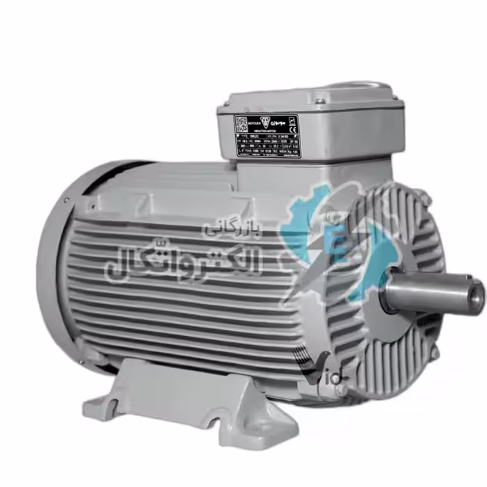 الکتروموتور موتوژن سه فاز چدنی 3000 دور 11kw