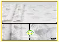 کاغذ دیواری آنجل مدرن پتینه طوسی کد:9937