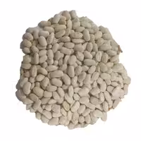 لوبیا سفید بومی خشکبار نقوی فله