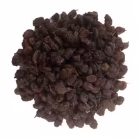 مویز بومی ارگانیک خشکبار نقوی فله