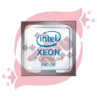 Intel Xeon-Platinum 8165 (2.3GHz 24-core 205W)