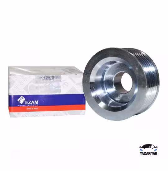 پولی دینام 206 – عظام