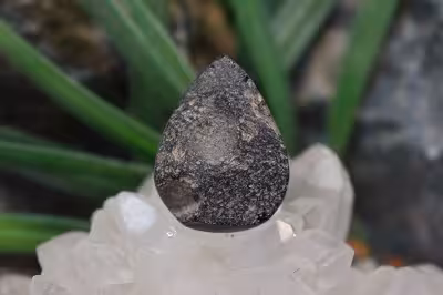 تکتیت طبیعی