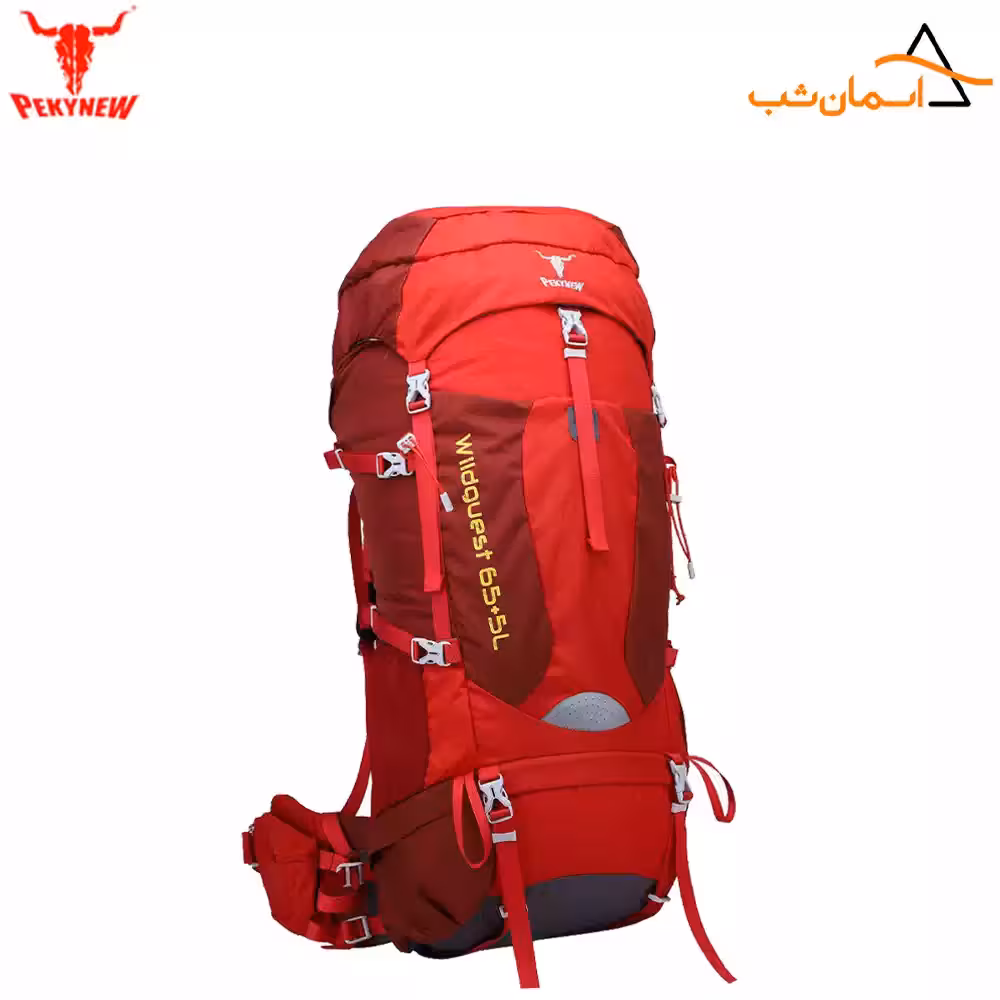 کوله‌پشتی پکینیو (کله گاوی) مدل وایلدگست 5 65