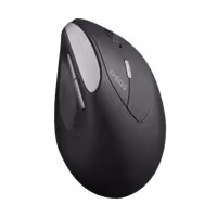ماوس ارگونومیک بی سیم، مدل EV250 Silent Vertical، برند رپو