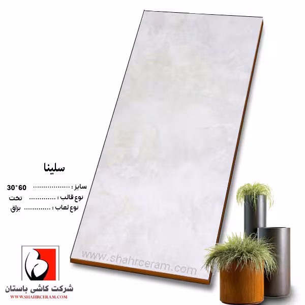سرامیک سلینا 60*30  کاشی باستان