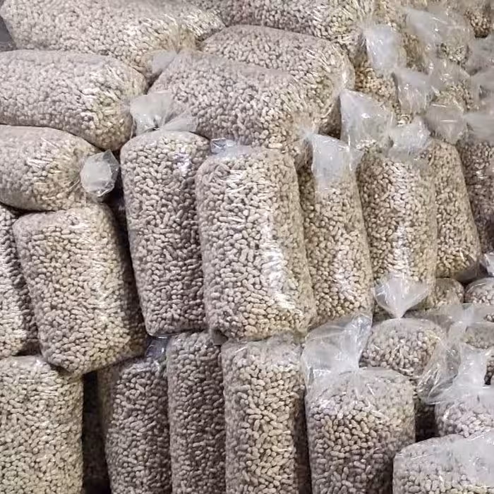 بادام زمینی غلاف شور کم نمک تبرک مغان لوکس و درجه یک  90 کیلویی عمده غلافشور بادام شور ، با غلاف