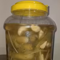 خیارشور  تردو خوشمزه