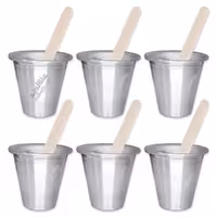 لیوان آلاسکا روحی بسته 6 عددی به همراه چوب بستنی