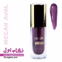 رژلب مایع Gloss Shine دیفکتو شماره 02