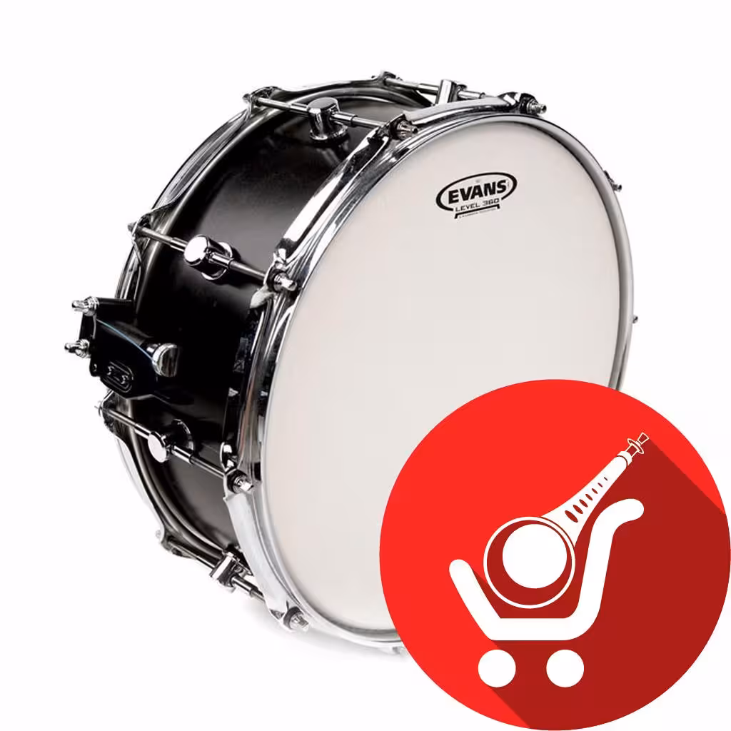 پوست سفید کتد ایونس مدل G1 Coated سایز 13 اینچ