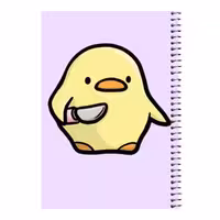دفتر مشق 80 برگ اس جی مدل جوجه