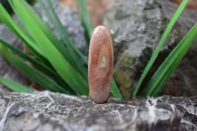 امپریال جاسپر