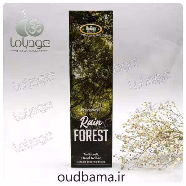 عود دست ساز جنگل بارانی رین فورست RAIN FOREST ( بیک BIC )