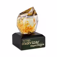 ادکلن رامون مولویزار اسمارت گلد اسکین | Ramon Molvizar Smart Goldskin