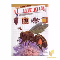 کتاب شگفتی های جهان(زنبور عسل) اثر سابین بو کادور نشر محراب قلم