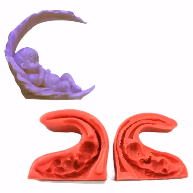 مولد جنین کد 22