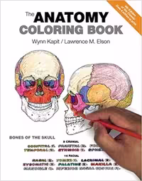 خرید و دانلود نسخه کامل کتاب The Anatomy Coloring Book (4th Edition) BY Kapit - Orginal Pdf