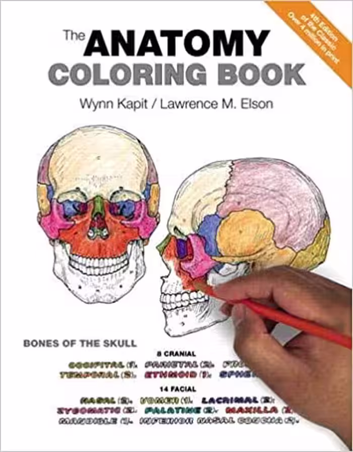 خرید و دانلود نسخه کامل کتاب The Anatomy Coloring Book (4th Edition) BY Kapit - Orginal Pdf