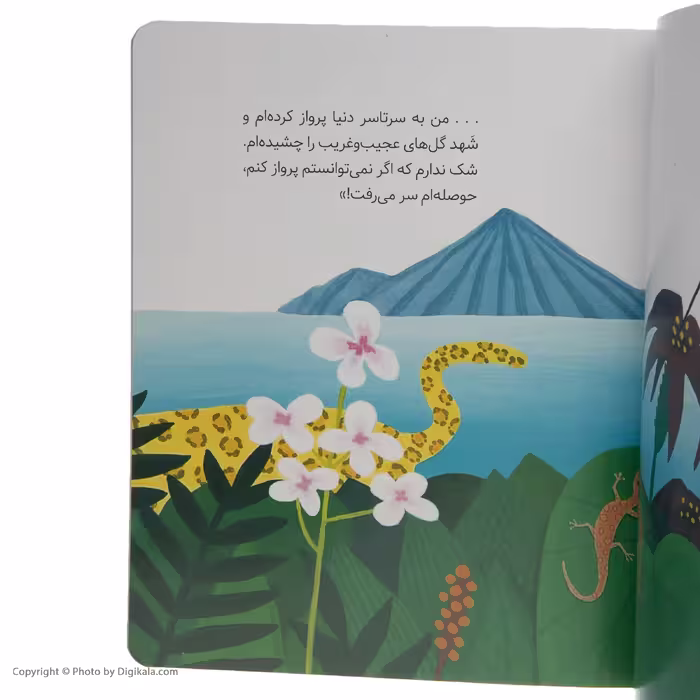 کتاب سنگ پیر اثر دب پیلوتی نشر میلکان 