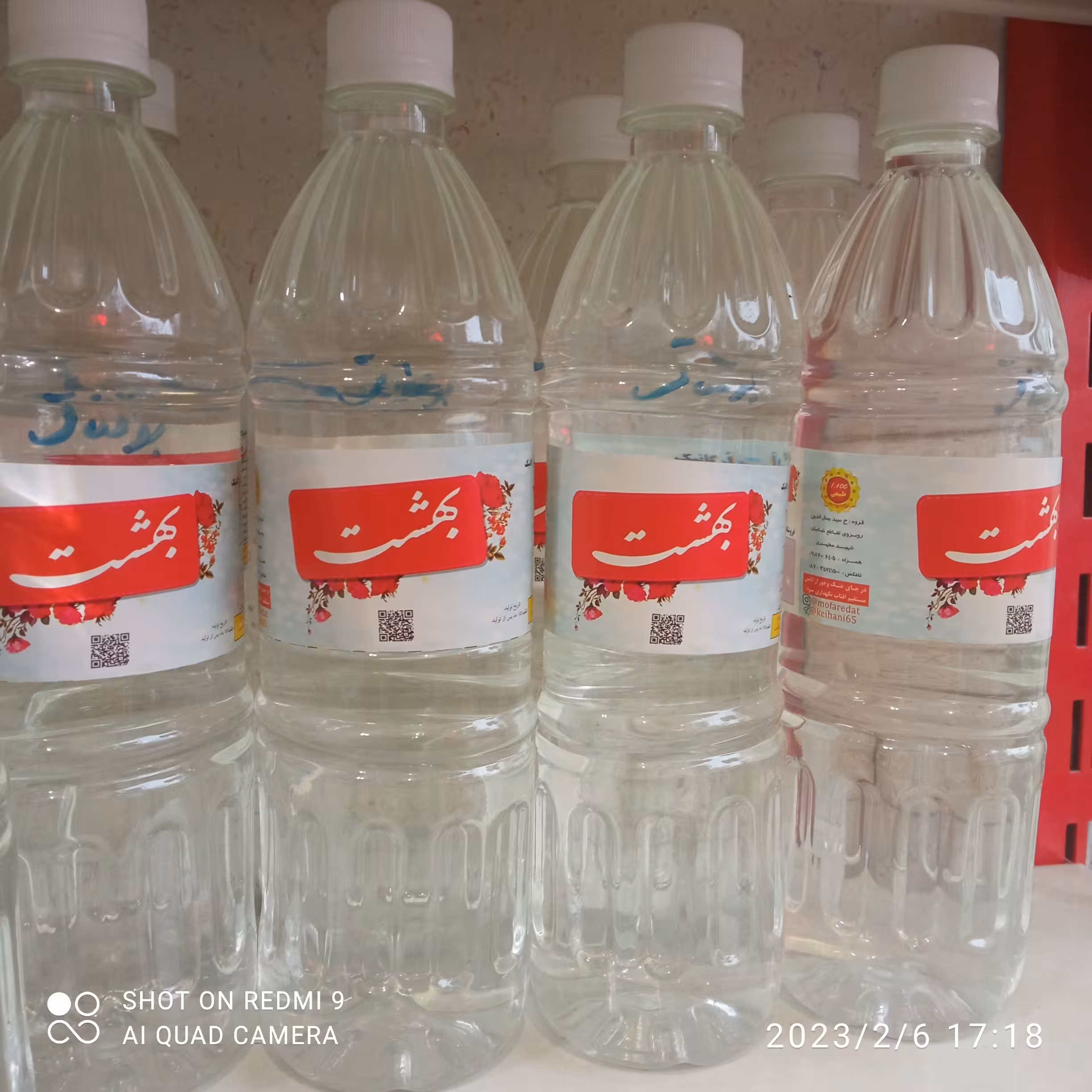 عرق بوقناق