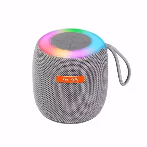 اسپیکر RGB 309 -طوسی