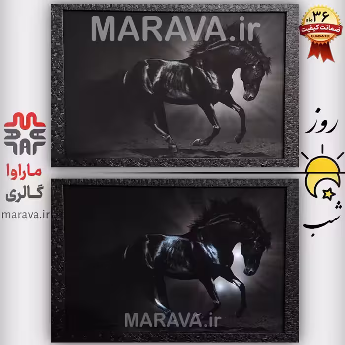 تابلو چراغدار اسب سیاه  . بکلایت . خرید عمده و خرده سایز 50 در 75 . شب خواب