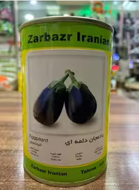 بذر گیاهی بادمجان دلمه ای رقم زر بذر ایرانیان