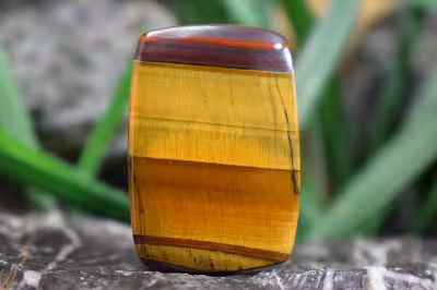 چشم ببر طرح خاص