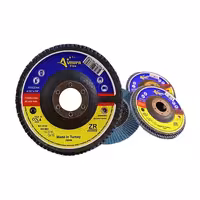 سنباده فلاپ مینی 115x22 آروپا p60