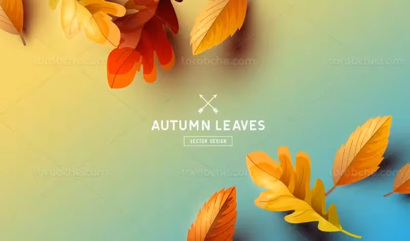 وکتور بک گراند برگ پاییزه | گرافیک با طعم تربچه