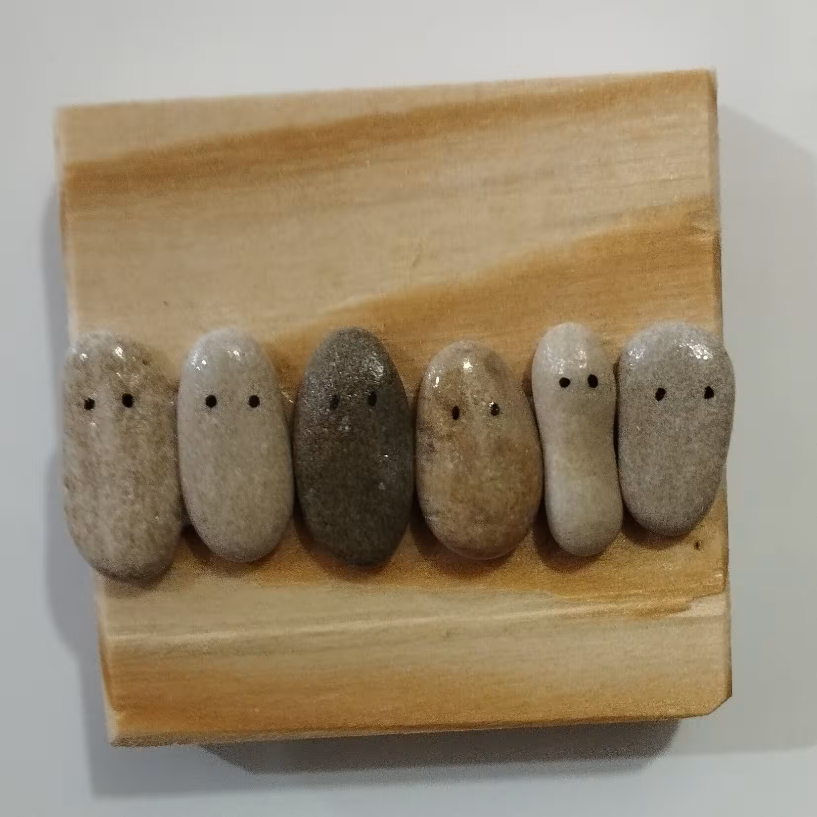 مگنت یخچال (خانواده سنگی)