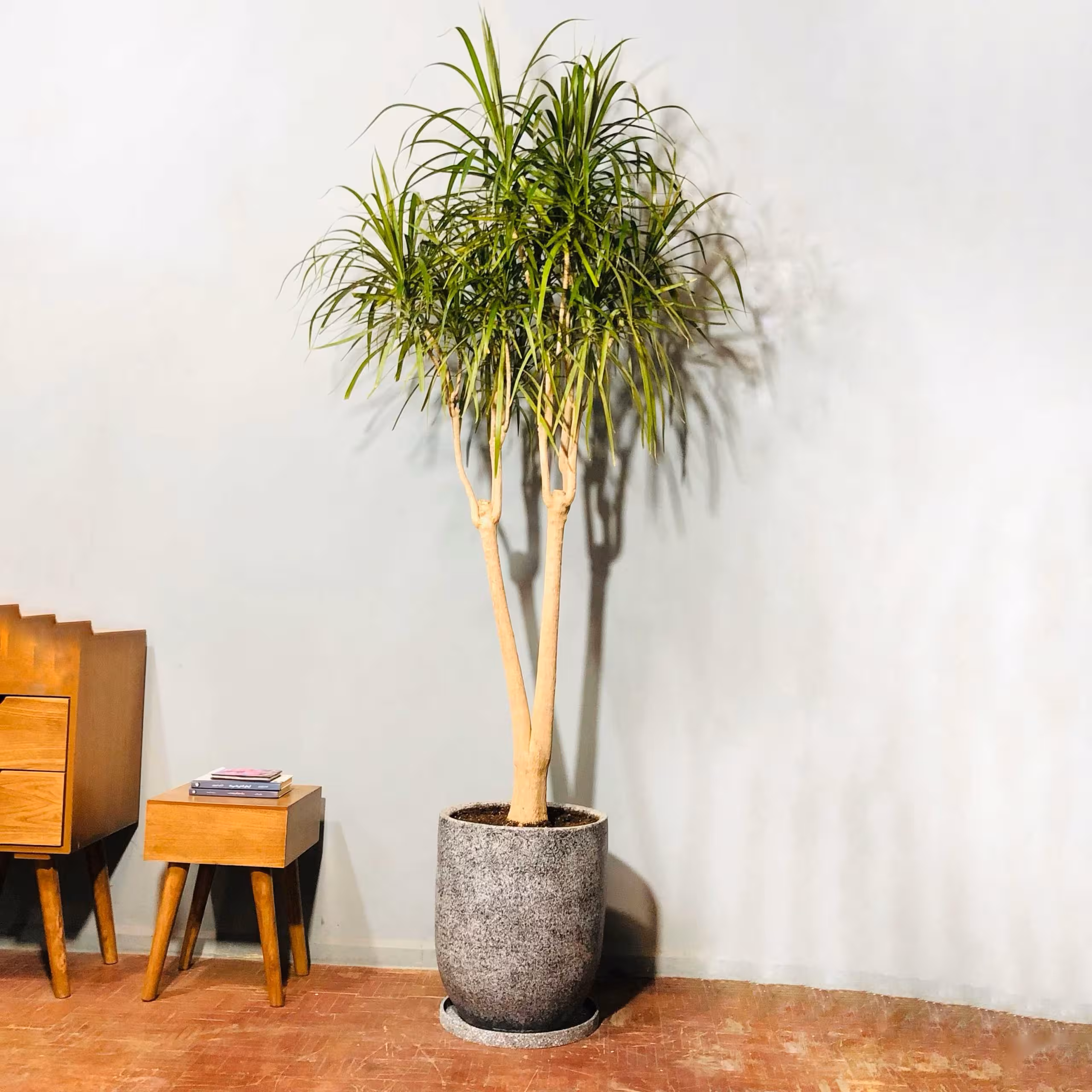 دراسنا با گلدان کد S158