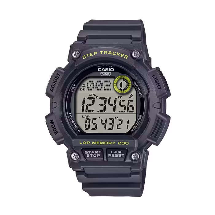 ساعت مچی کاسیو WS-2100H-8A