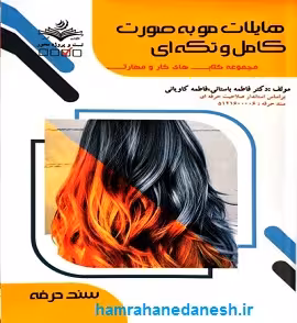 مجموعه کتاب های کار و مهارت هایلایت مو به صورت کامل و تکه ای