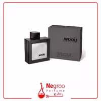 عطر مردانه دسکوارد وود راکی
